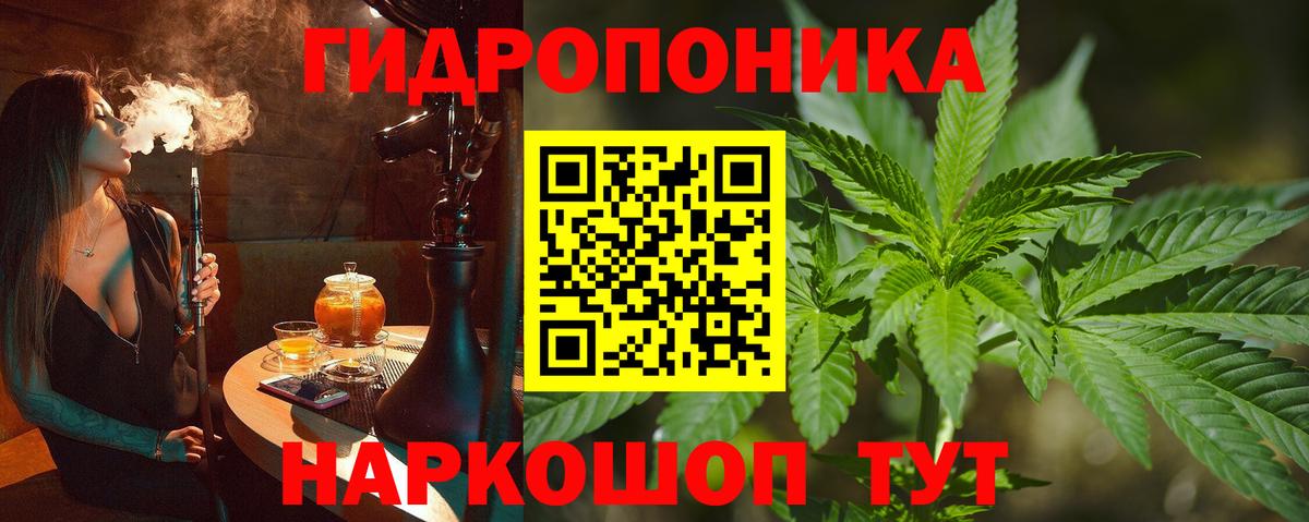 Шишки марихуана гибрид  Бошки Шишки MAZAR  Марихуана Amnesia  Вход с VPN  Шишки марихуана тримм  Сегежа 